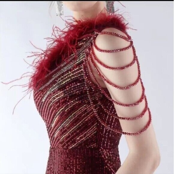 Crimson, One Shoulder Beaded,  Feather Neckline,  Sleeveless,  Sequined Gown - Picture 10 of 14
